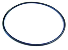 hayward northstar pump seal plate o-ring