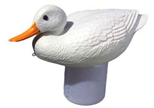 PoolMaster Floating Dispenser Clori-duck White 32131