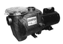 WaterWay Energy Efficient Champion Pump 1.0 HP CHAMPE-110
