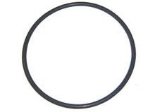 Americana Pump Seal Plate O-Ring 39500400 O-169