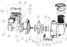 .Pentair IntelliFlo Variable Speed Pump Diagram