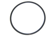 pentair ultra-flow pump seal plate o-ring